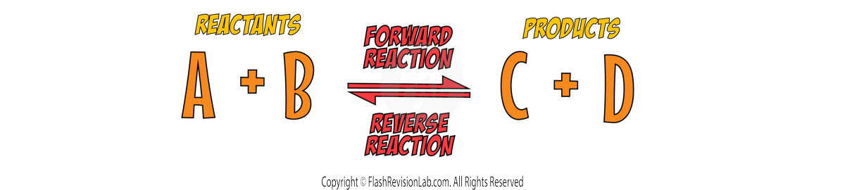 general reversible reaction